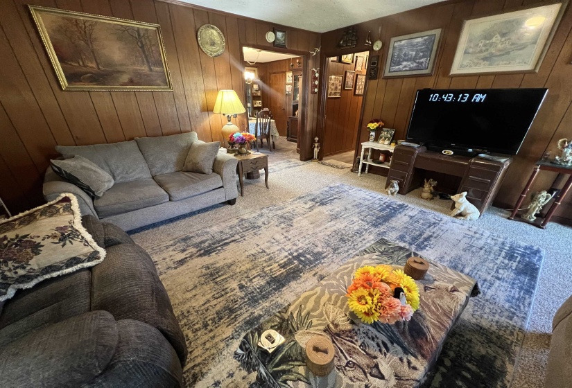 Living room with wooden walls and carpet floors