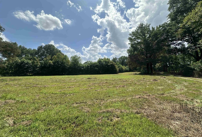 0 OLD L & N RD, Stanton, Tennessee 38069, ,Land,For Sale,OLD L & N,10201452