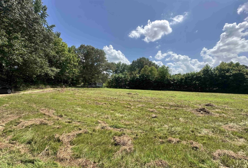 0 OLD L & N RD, Stanton, Tennessee 38069, ,Land,For Sale,OLD L & N,10201452