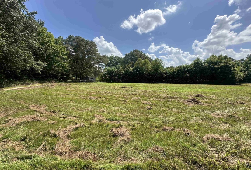 0 OLD L & N RD, Stanton, Tennessee 38069, ,Land,For Sale,OLD L & N,10201452