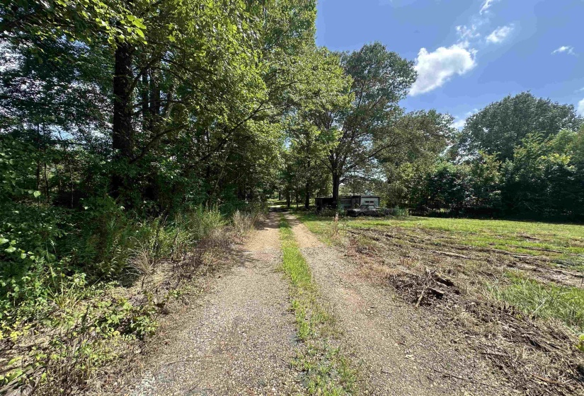 0 OLD L & N RD, Stanton, Tennessee 38069, ,Land,For Sale,OLD L & N,10201452