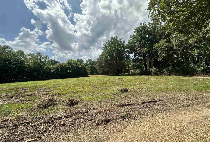 0 OLD L & N RD, Stanton, Tennessee 38069, ,Land,For Sale,OLD L & N,10201452
