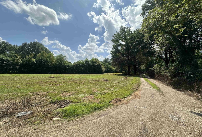 0 OLD L & N RD, Stanton, Tennessee 38069, ,Land,For Sale,OLD L & N,10201452