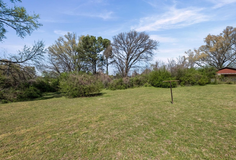View of green lawn