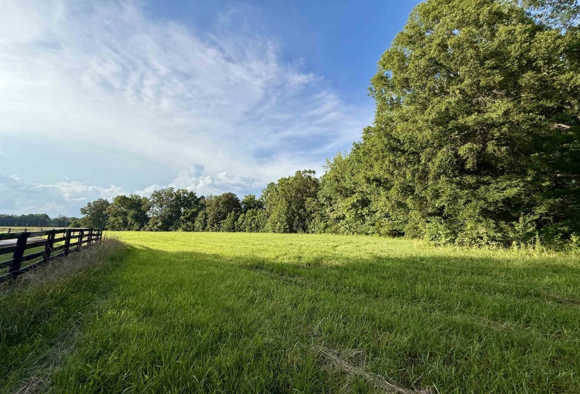 7 ACRES US 64 HWY, Somerville, Tennessee 38068, ,Land,For Sale,US 64,10201506