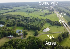 7 ACRES US 64 HWY, Somerville, Tennessee 38068, ,Land,For Sale,US 64,10201506 7 ACRES US 64 HWY, Somerville, Tennessee 38068, ,Land,For Sale,US 64,10201506