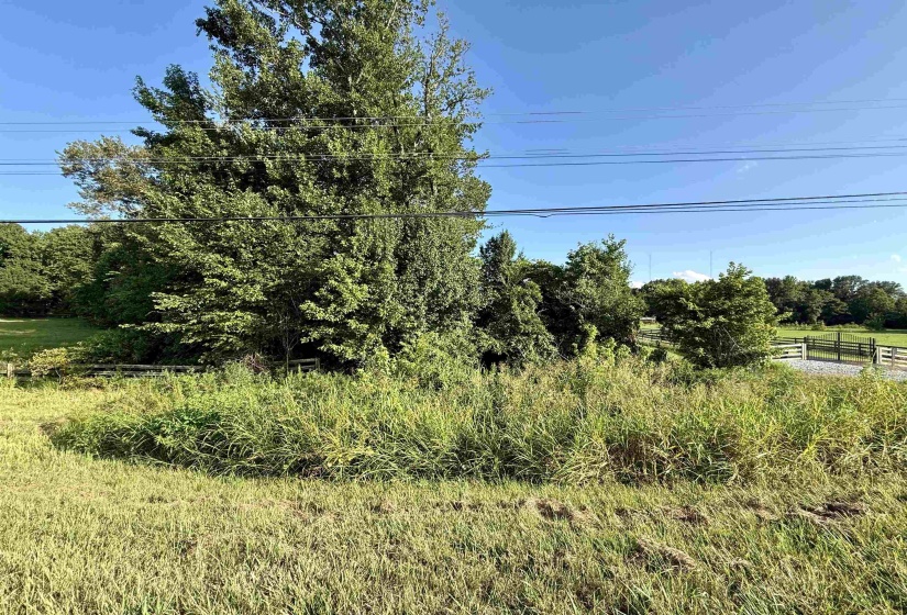 7 ACRES US 64 HWY, Somerville, Tennessee 38068, ,Land,For Sale,US 64,10201506