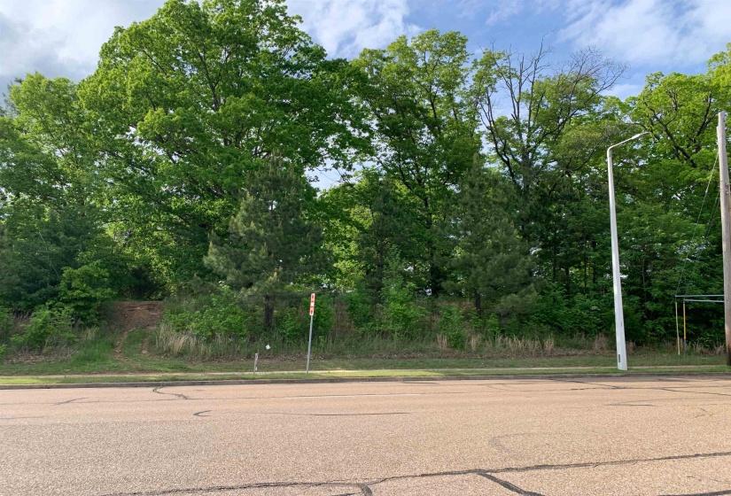 0 MILTON WILSON RD, Arlington, Tennessee 38002, ,Commercial/industrial,For Sale,MILTON WILSON,10201643
