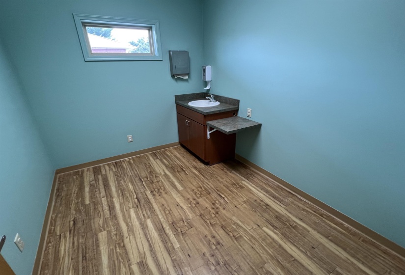 Bathroom with wood finished floors and vanity