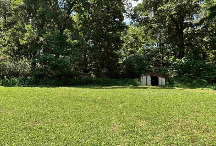 View of green lawn in the back yard.