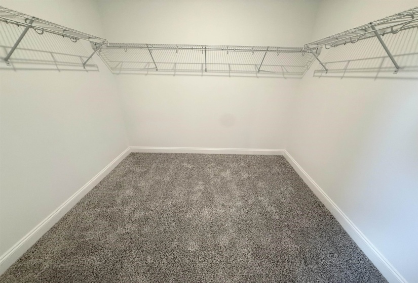 Spacious closet featuring carpet