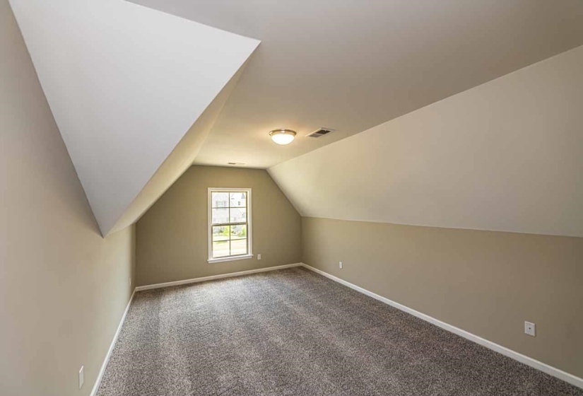 Bonus room with carpet floors and lofted ceiling