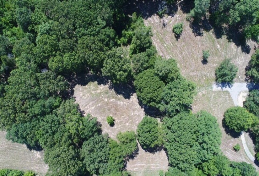 11167 MONTEREY RD, Eads, Tennessee 38028, ,Land,For Sale,MONTEREY,10202071