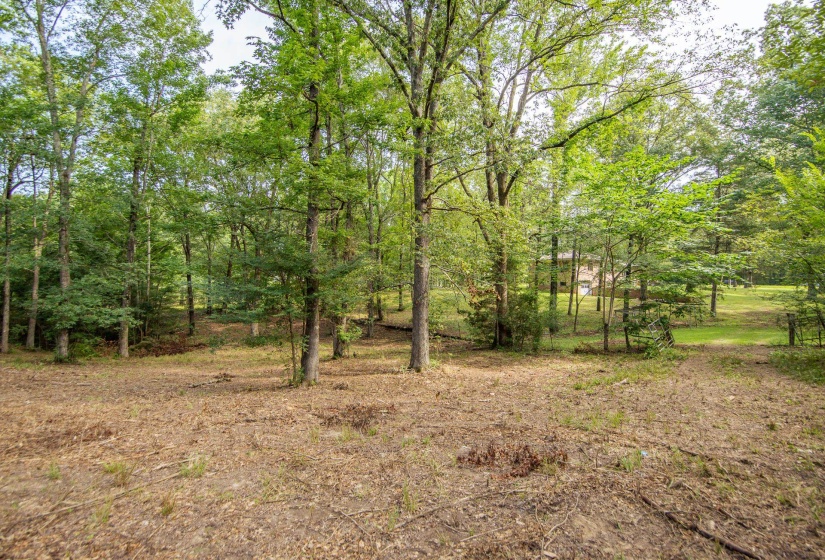 1910 HAMBURG LOOP, Savannah, Tennessee 38372, 3 Bedrooms Bedrooms, 7 Rooms Rooms,2 BathroomsBathrooms,Residential,For Sale,HAMBURG,10202241