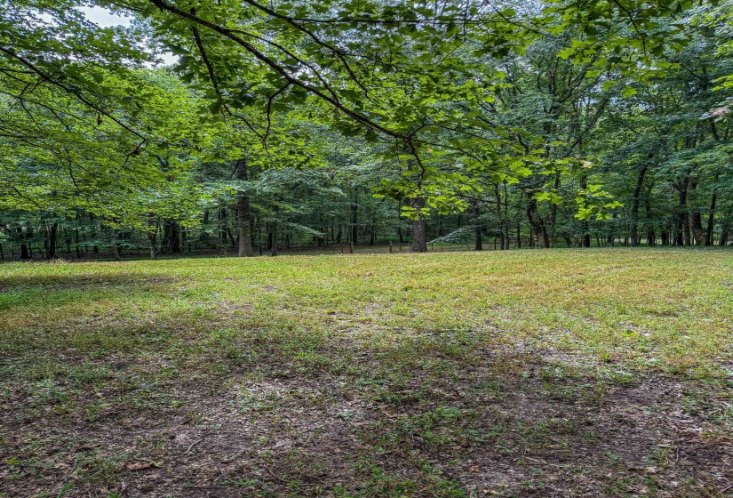 COUNTRY CLUB RD, Somerville, Tennessee 38068-0000, 0 , 0 ,0,Land,For Sale,COUNTRY CLUB,0,10202313