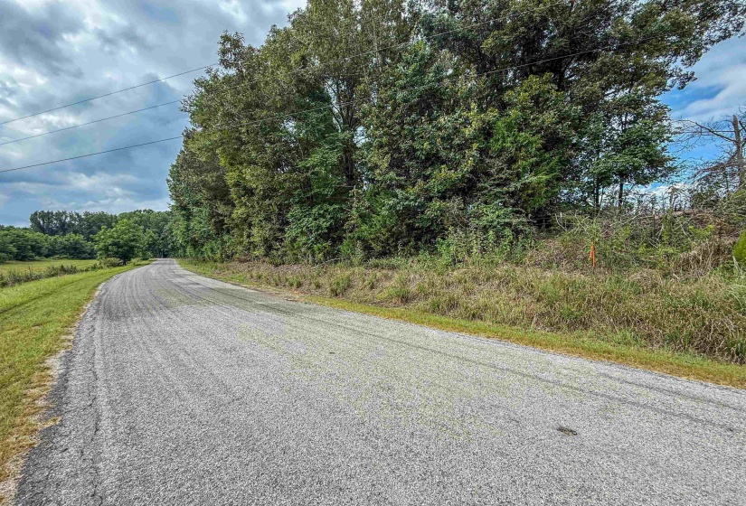 COUNTRY CLUB RD, Somerville, Tennessee 38068-0000, 0 , 0 ,0,Land,For Sale,COUNTRY CLUB,0,10202313