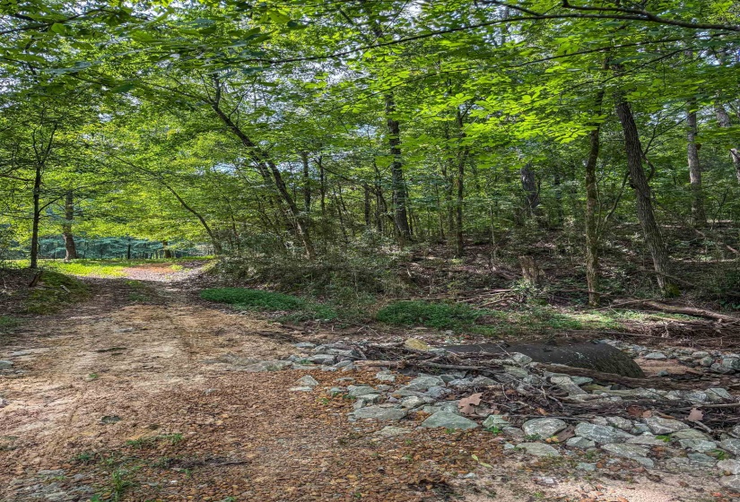 COUNTRY CLUB RD, Somerville, Tennessee 38068-0000, 0 , 0 ,0,Land,For Sale,COUNTRY CLUB,0,10202313