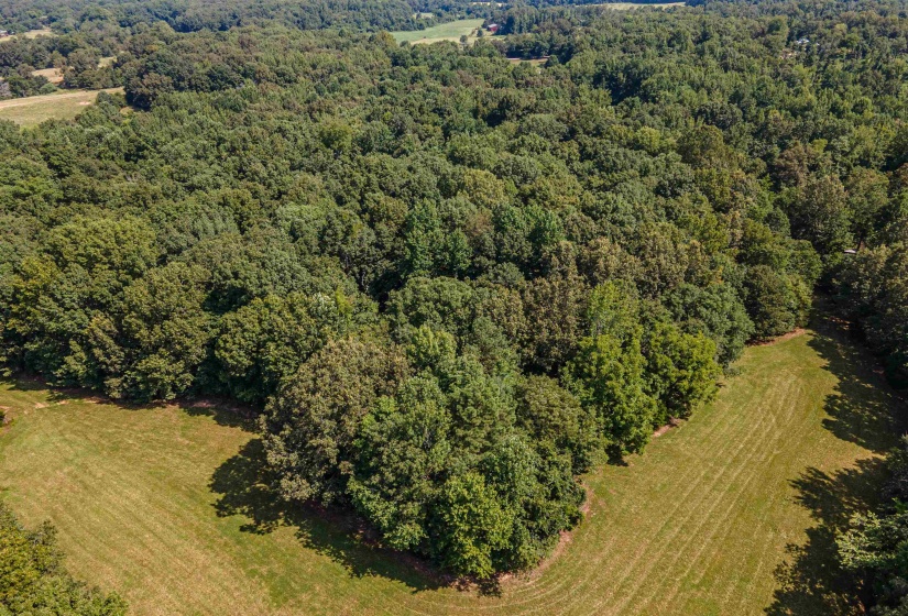 COUNTRY CLUB RD, Somerville, Tennessee 38068-0000, 0 , 0 ,0,Land,For Sale,COUNTRY CLUB,0,10202313