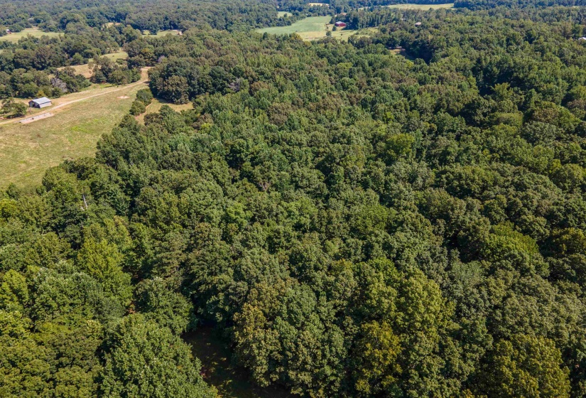 COUNTRY CLUB RD, Somerville, Tennessee 38068-0000, 0 , 0 ,0,Land,For Sale,COUNTRY CLUB,0,10202313