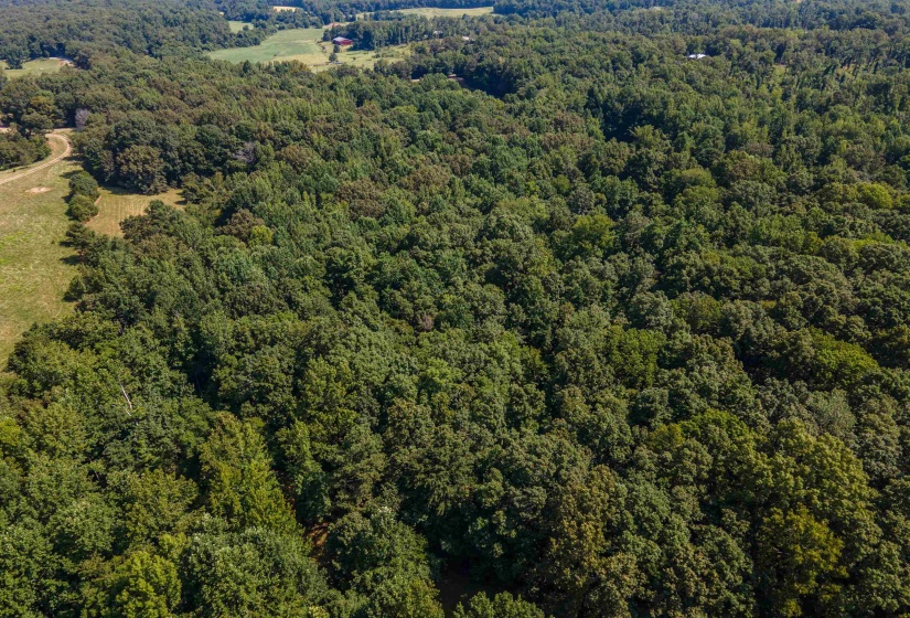 COUNTRY CLUB RD, Somerville, Tennessee 38068-0000, 0 , 0 ,0,Land,For Sale,COUNTRY CLUB,0,10202313