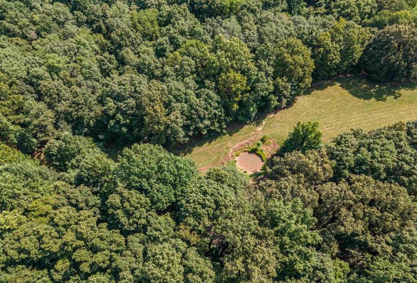 COUNTRY CLUB RD, Somerville, Tennessee 38068-0000, 0 , 0 ,0,Land,For Sale,COUNTRY CLUB,0,10202313