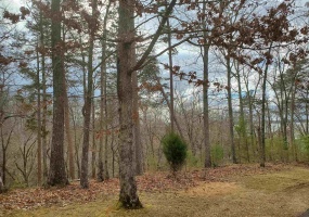 LOT 223 RIDGEVIEW CV, Savannah, Tennessee 38372, ,Land,For Sale,RIDGEVIEW,10202471 LOT 223 RIDGEVIEW CV, Savannah, Tennessee 38372, ,Land,For Sale,RIDGEVIEW,10202471