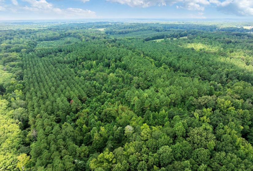 0 DARDEN RD, Darden, Tennessee 38328, 0 , 0 ,0,Land,For Sale,DARDEN,0,10202884