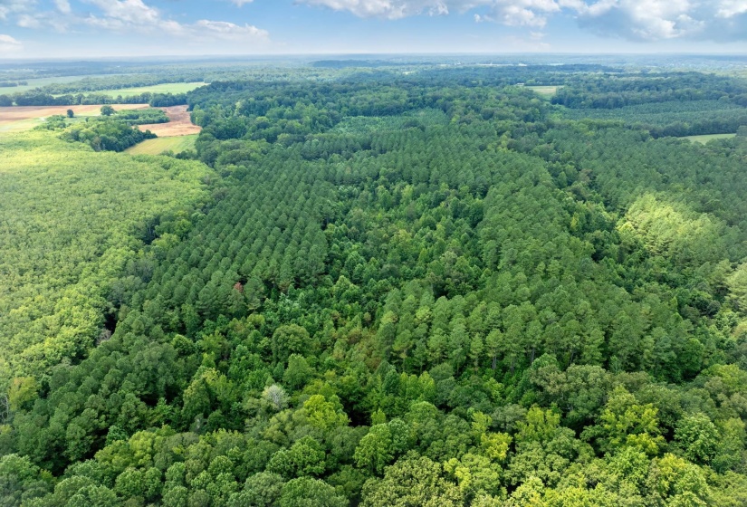 0 DARDEN RD, Darden, Tennessee 38328, 0 , 0 ,0,Land,For Sale,DARDEN,0,10202884