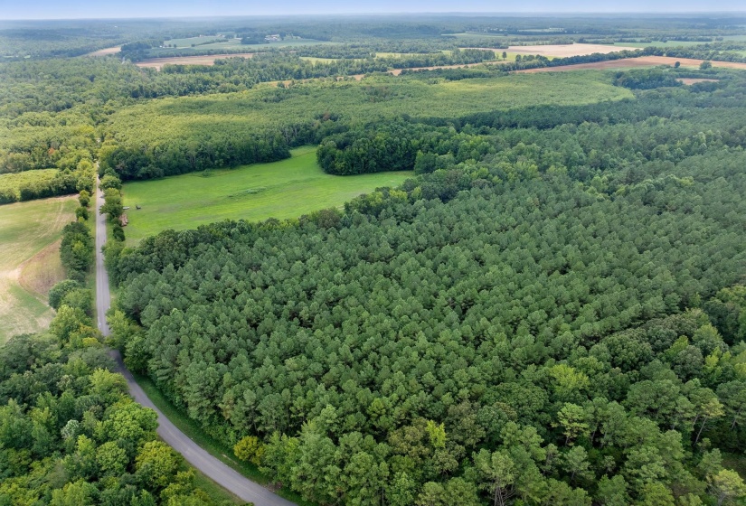 0 DARDEN RD, Darden, Tennessee 38328, 0 , 0 ,0,Land,For Sale,DARDEN,0,10202884
