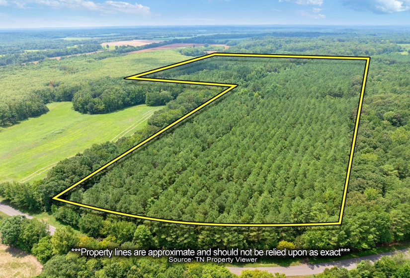 0 DARDEN RD, Darden, Tennessee 38328, 0 , 0 ,0,Land,For Sale,DARDEN,0,10202884