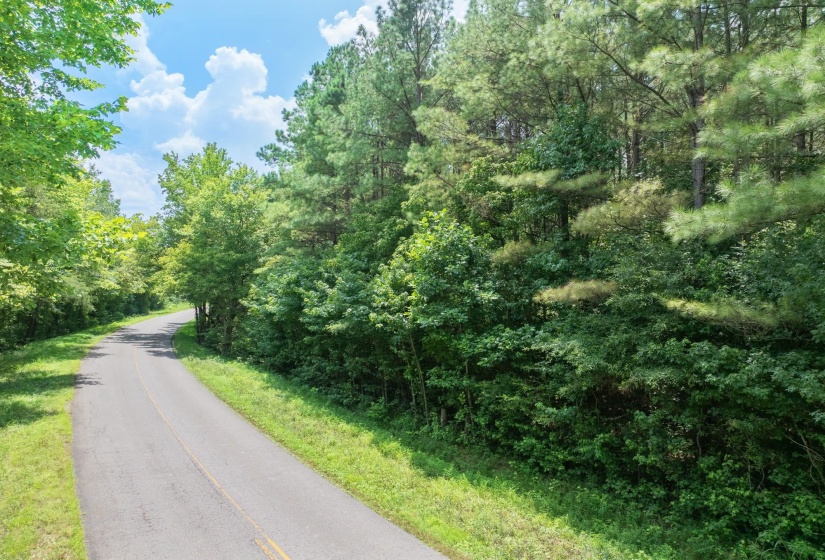 0 DARDEN RD, Darden, Tennessee 38328, 0 , 0 ,0,Land,For Sale,DARDEN,0,10202884