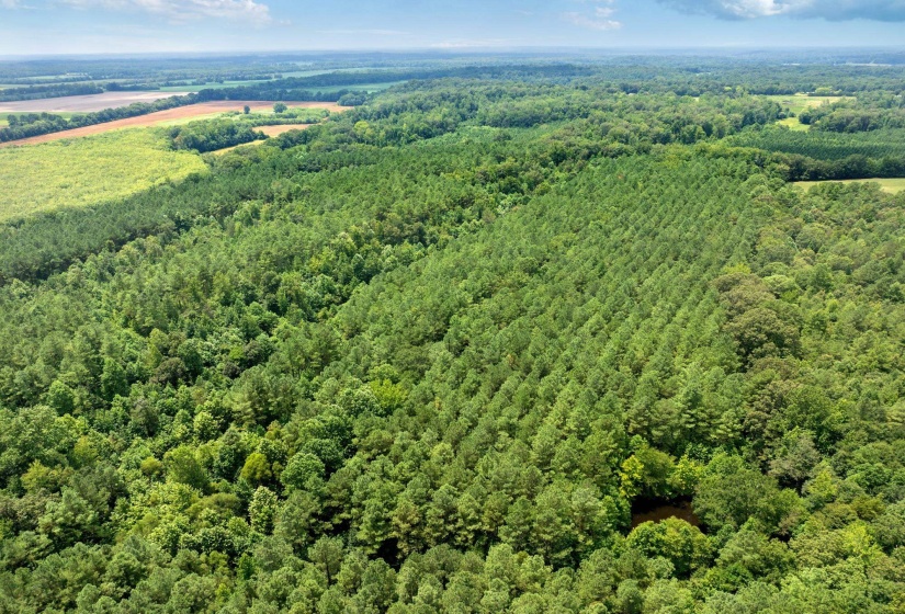 0 DARDEN RD, Darden, Tennessee 38328, 0 , 0 ,0,Land,For Sale,DARDEN,0,10202884