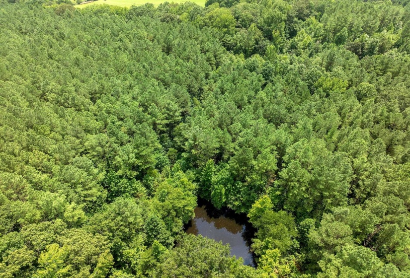 0 DARDEN RD, Darden, Tennessee 38328, 0 , 0 ,0,Land,For Sale,DARDEN,0,10202884