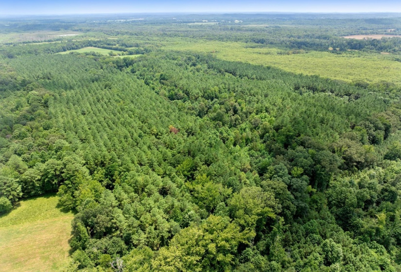 0 DARDEN RD, Darden, Tennessee 38328, 0 , 0 ,0,Land,For Sale,DARDEN,0,10202884