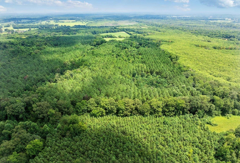 0 DARDEN RD, Darden, Tennessee 38328, 0 , 0 ,0,Land,For Sale,DARDEN,0,10202884