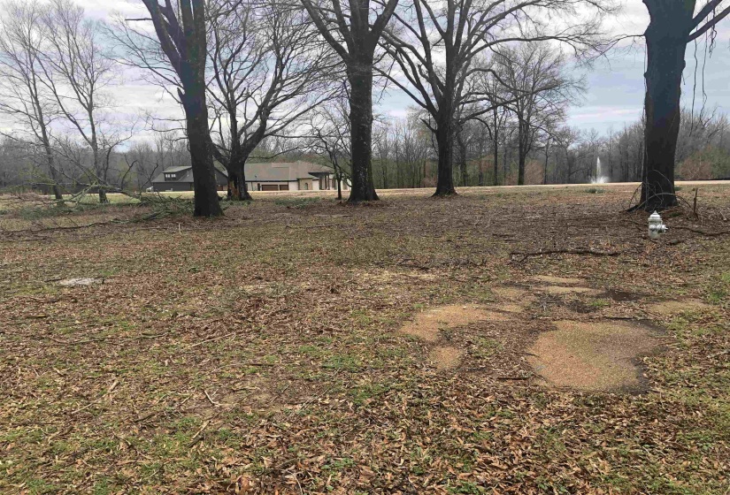 0 STEWART RD, Lakeland, Tennessee 38002-00, ,Land,For Sale,STEWART,10142709