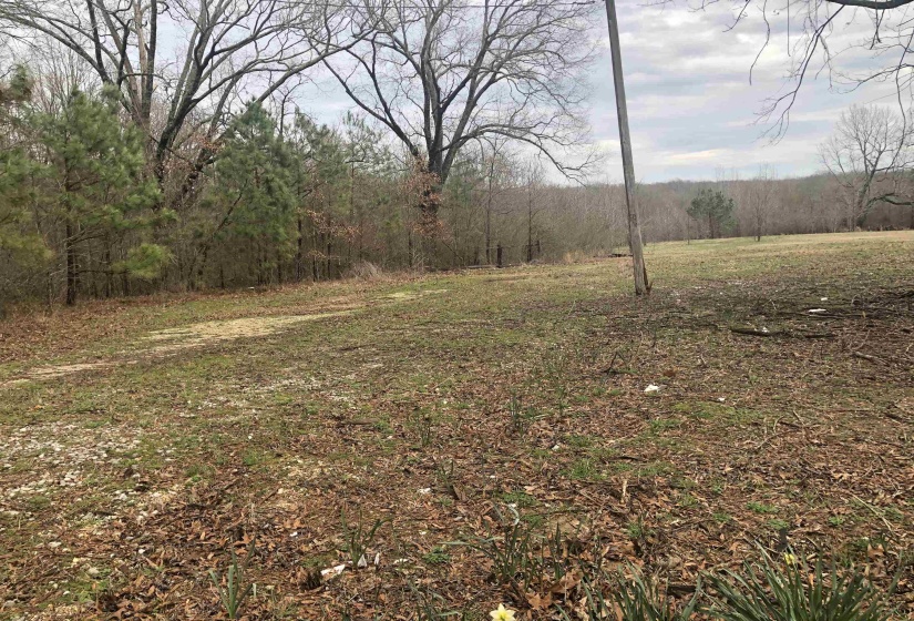 0 STEWART RD, Lakeland, Tennessee 38002-00, ,Land,For Sale,STEWART,10142709