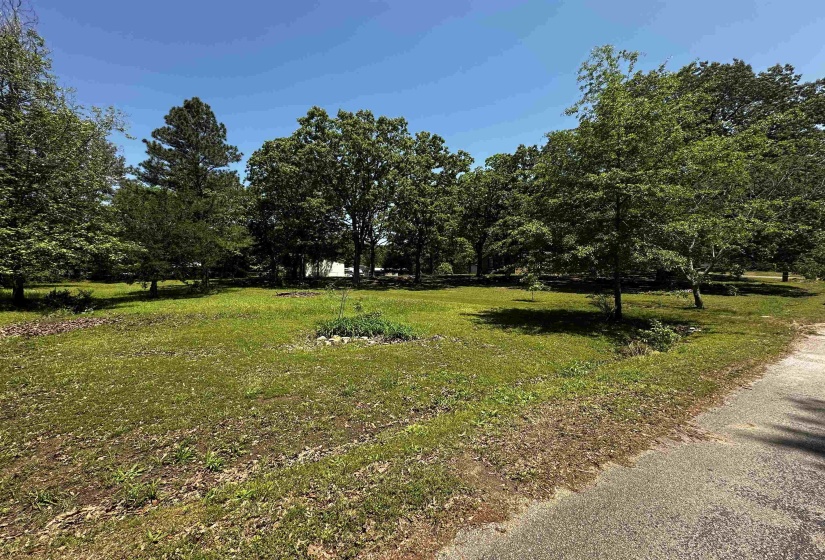 View of yard View of yard