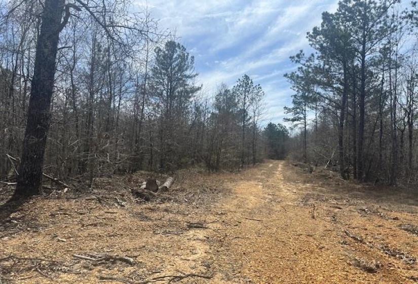 View of nature