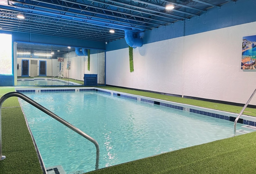 View of indoor community pool