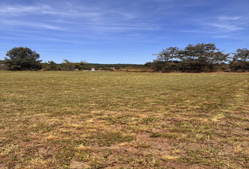 View of grassy yard