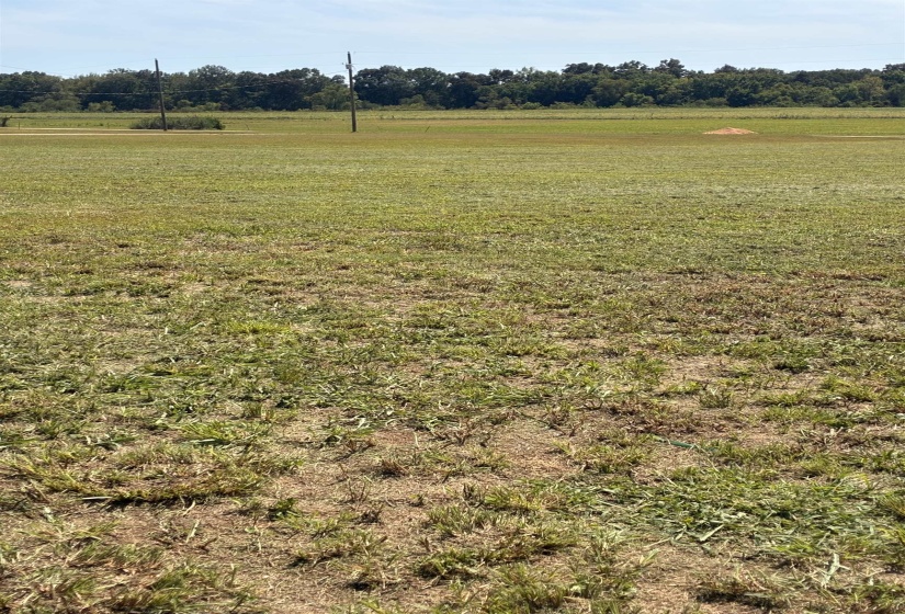 View of yard featuring a view of rural / pastoral area