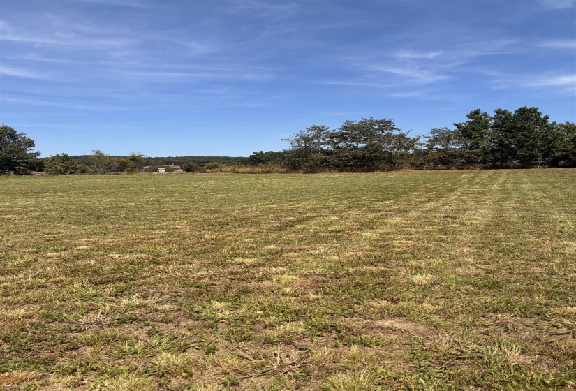 View of green lawn