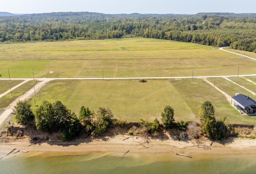 Overview of rural landscape with a forest
