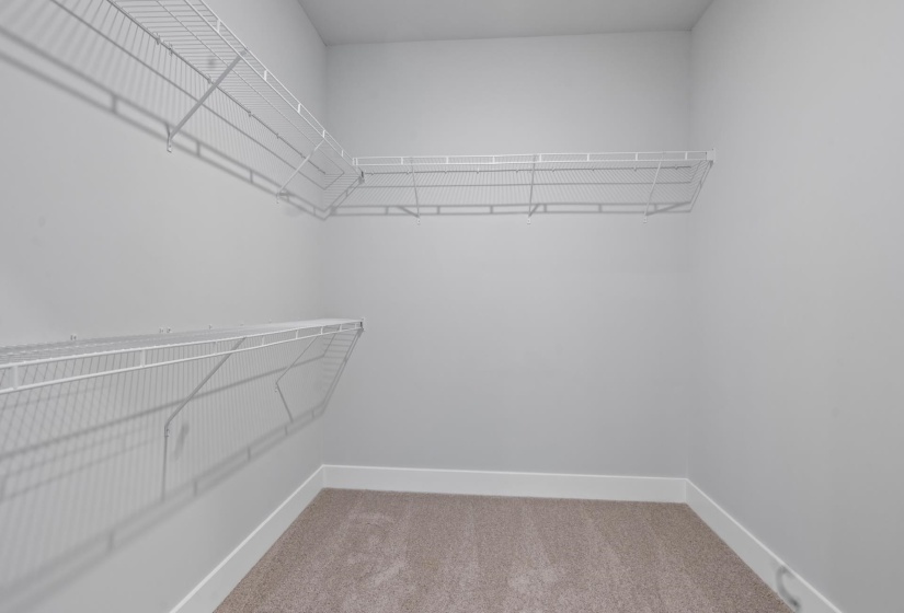 Spacious closet with carpet flooring