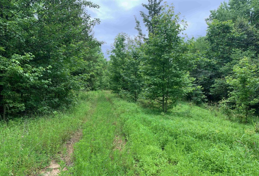 0 HARRIS RD, Arlington, Tennessee 38002, ,Land,For Sale,HARRIS,10203803
