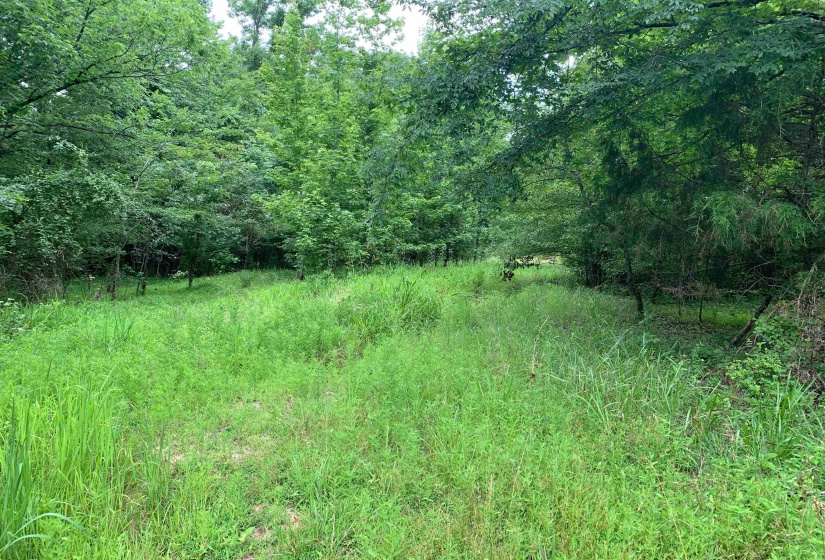 0 HARRIS RD, Arlington, Tennessee 38002, ,Land,For Sale,HARRIS,10203803
