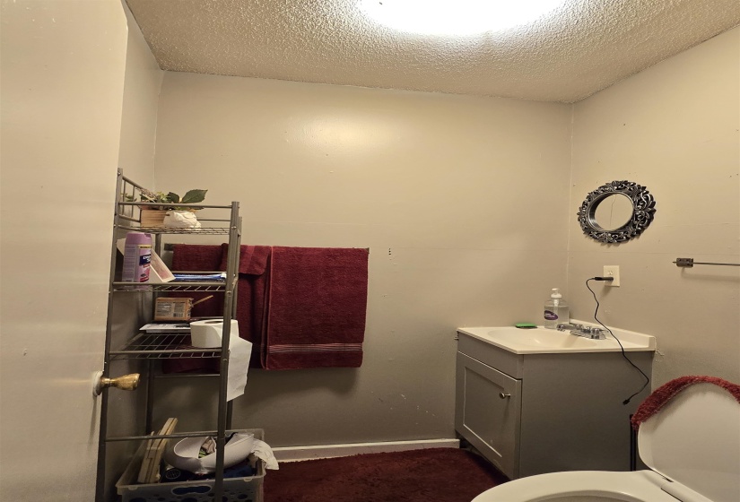 Half bathroom featuring vanity and a textured ceiling