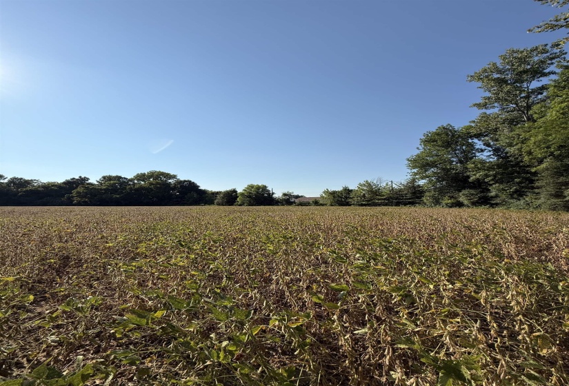 View of undeveloped land with rural landscape and abundant farmland