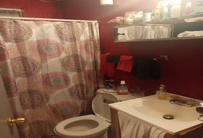 Full bath with vanity and a shower with curtain